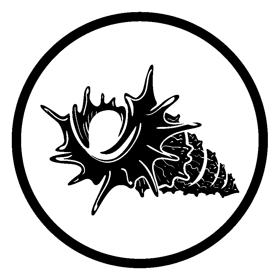 Mollusk Collection Logo